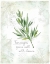 Picture of FRESH TARRAGON