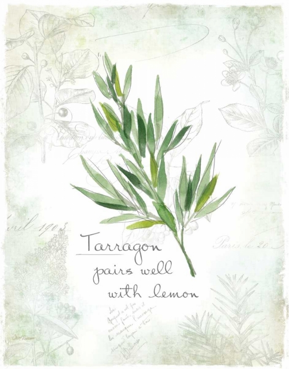 Picture of FRESH TARRAGON