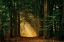 Picture of SHINE ON