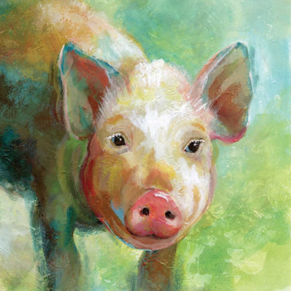 Picture of COLORFUL QUIRKY PIG