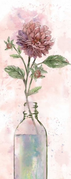 Picture of VINTAGE BOTTLE DAHLIA