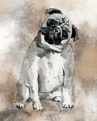 Picture of SKETCHY STUDY PUG