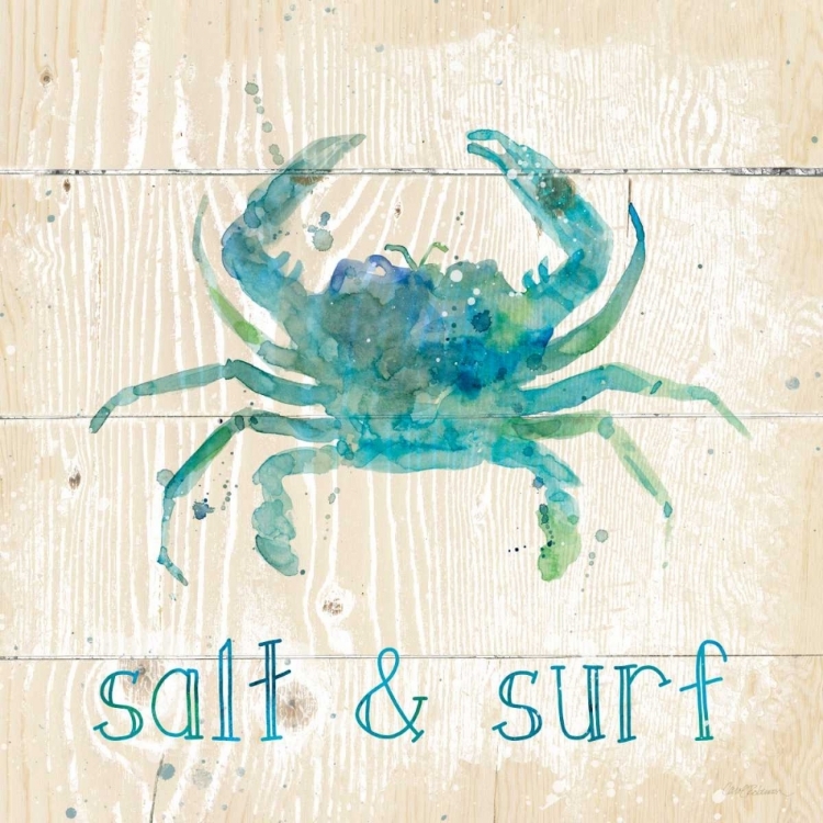 Picture of SALT AND SURF