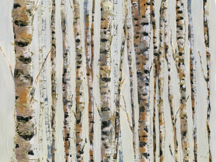 Picture of SPARKLE BIRCH