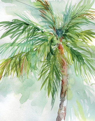 Picture of PALM BREEZES II