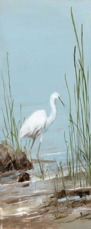 Picture of ISLAND EGRET I