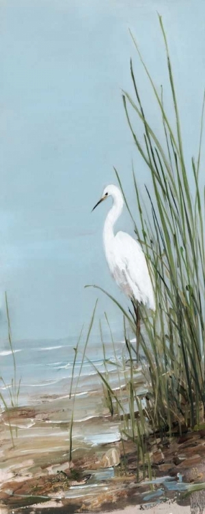 Picture of ISLAND EGRET II