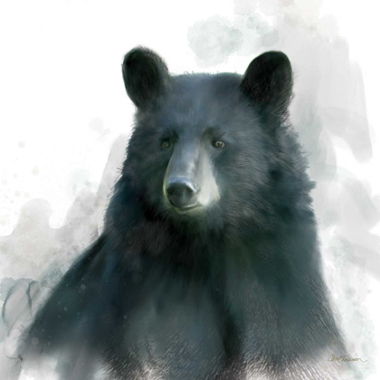 Picture of RAINSOFT BEAR