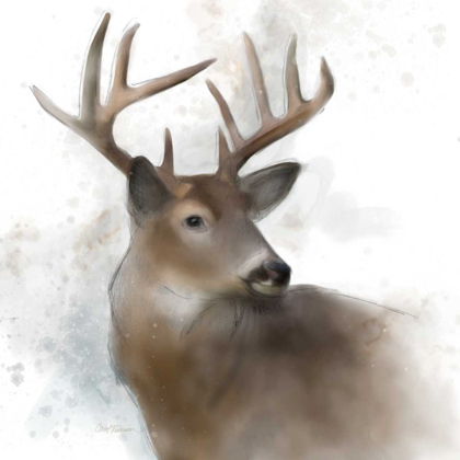 Picture of RAINSOFT DEER