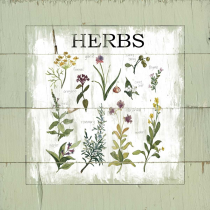 Picture of SHIPLAP HERBS