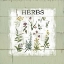 Picture of SHIPLAP HERBS