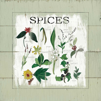 Picture of SHIPLAP SPICES