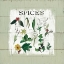Picture of SHIPLAP SPICES