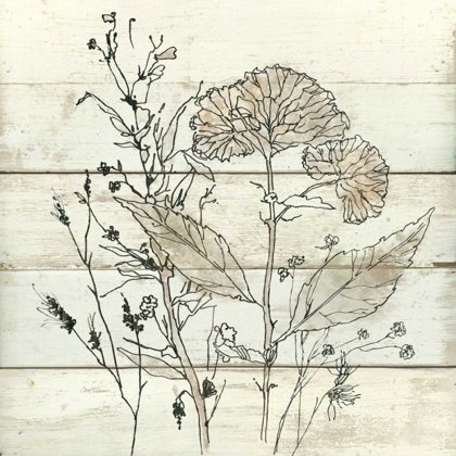 Picture of DRIED FLOWER STUDY