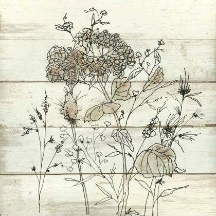 Picture of DRIED FLOWER STUDY