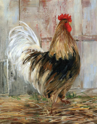 Picture of FARMHOUSE ROOSTER