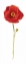 Picture of POPPY POP I