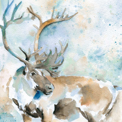 Picture of CARIBOU ON BLUE