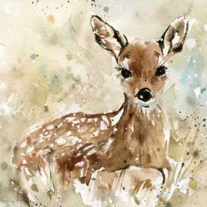 Picture of FAWN IN SPRING