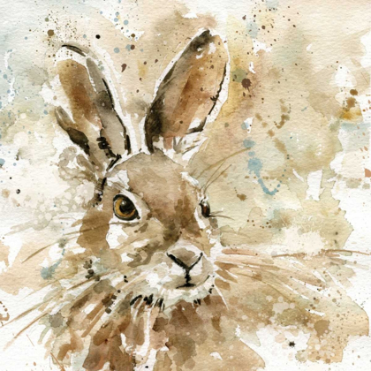 Picture of HARE IN SPRING
