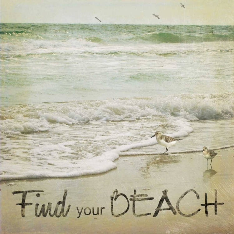 Picture of FIND YOUR BEACH