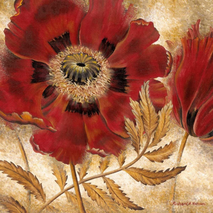 Picture of RED POPPY