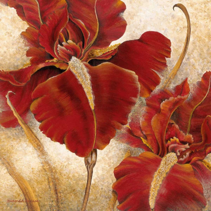 Picture of RED IRIS