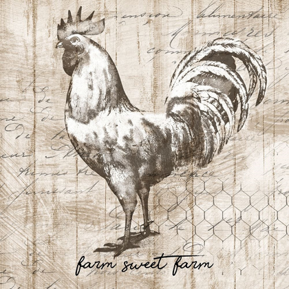 Picture of FARM ROOSTER