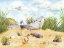 Picture of BEACH TREASURES