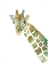 Picture of AFRICAN COLORS