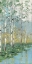 Picture of BIRCH