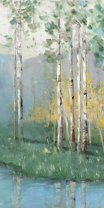 Picture of BIRCH