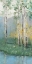 Picture of BIRCH