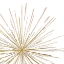 Picture of GLAM BURST