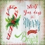 Picture of MERRY CANDYCANE