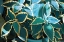 Picture of TROPICAL LEAVES
