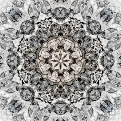 Picture of BLACK WHITE KALEIDOSCOPE