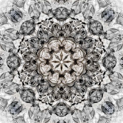 Picture of BLACK WHITE KALEIDOSCOPE