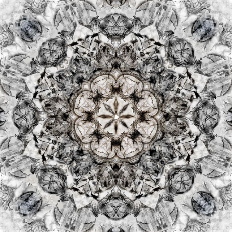 Picture of BLACK WHITE KALEIDOSCOPE
