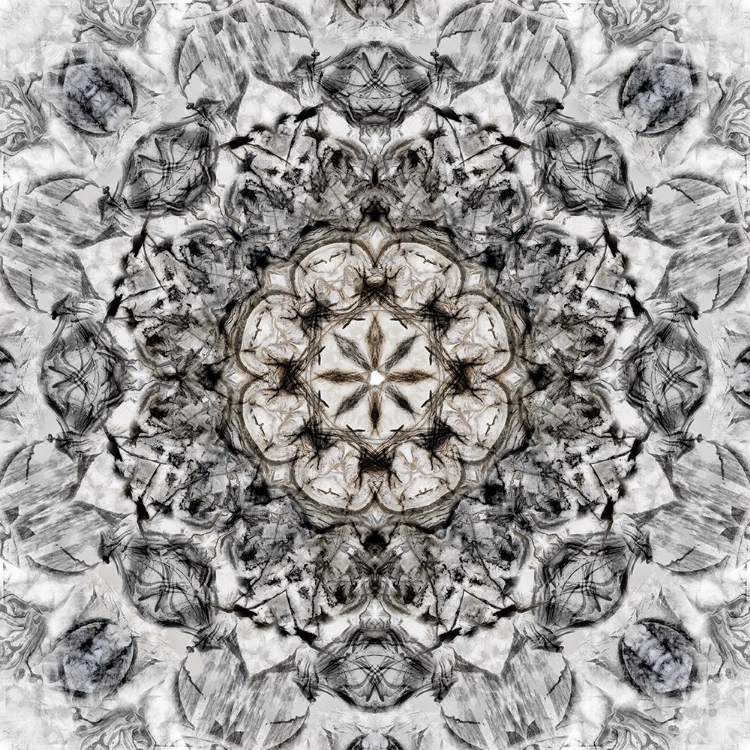 Picture of BLACK WHITE KALEIDOSCOPE