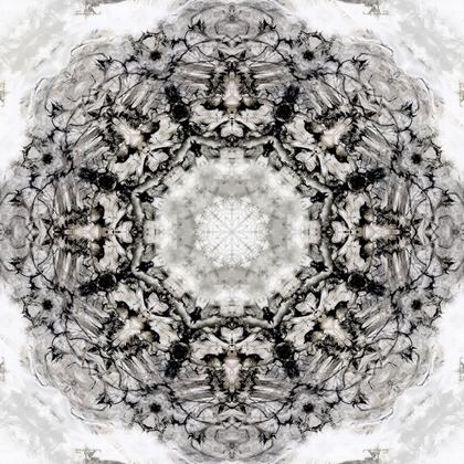 Picture of BLACK WHITE KALEIDOSCOPE