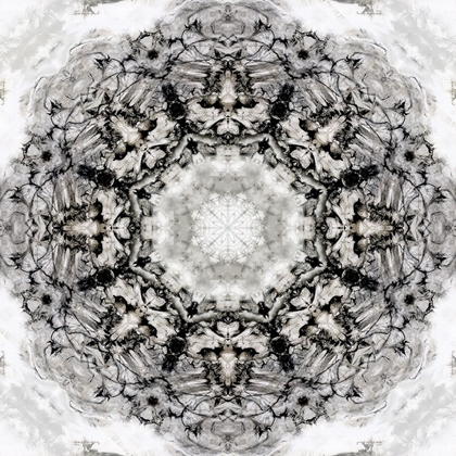 Picture of BLACK WHITE KALEIDOSCOPE