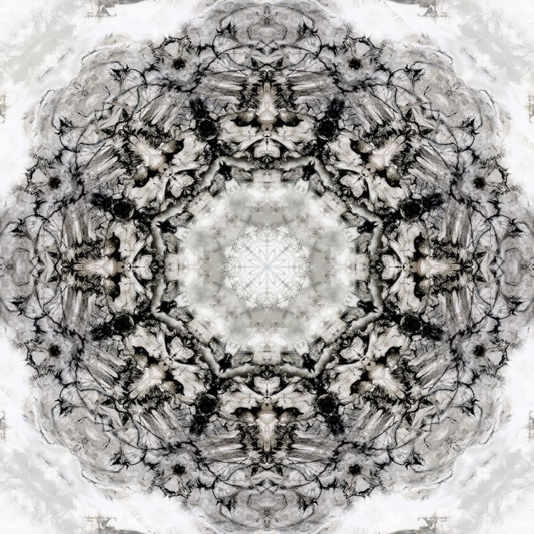 Picture of BLACK WHITE KALEIDOSCOPE