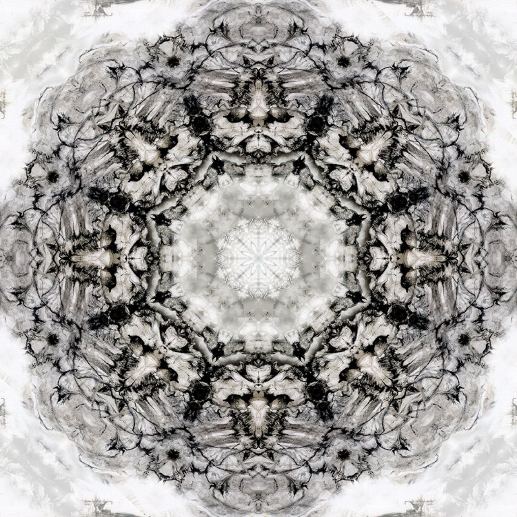 Picture of BLACK WHITE KALEIDOSCOPE