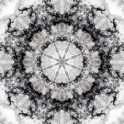 Picture of BLACK WHITE KALEIDOSCOPE