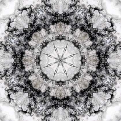 Picture of BLACK WHITE KALEIDOSCOPE