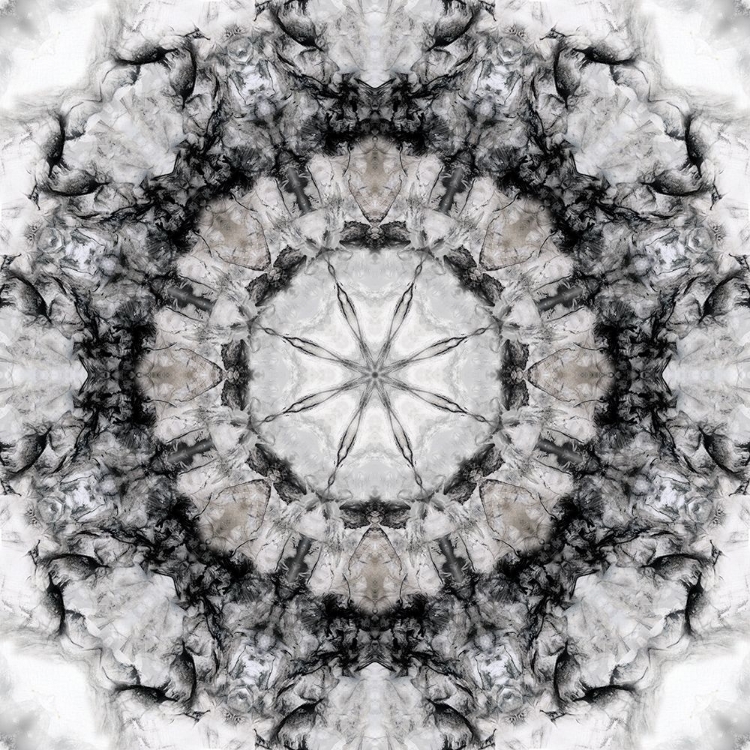 Picture of BLACK WHITE KALEIDOSCOPE