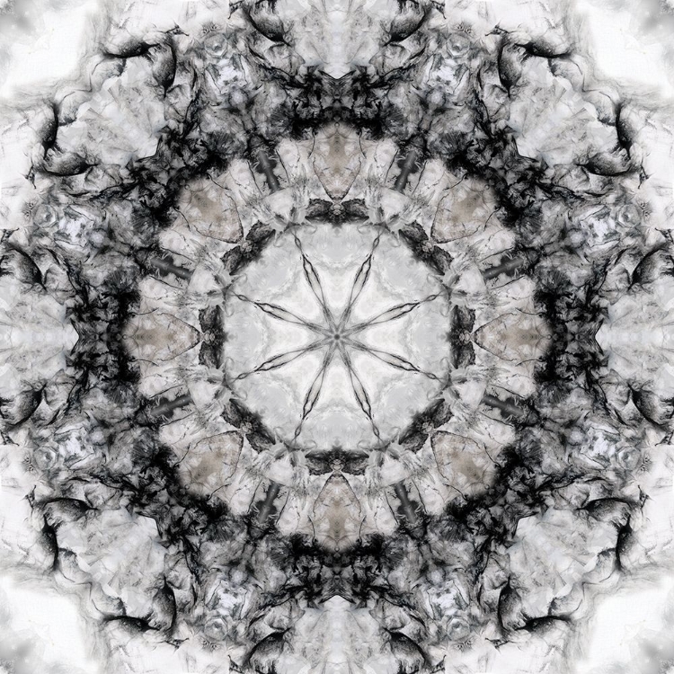 Picture of BLACK WHITE KALEIDOSCOPE