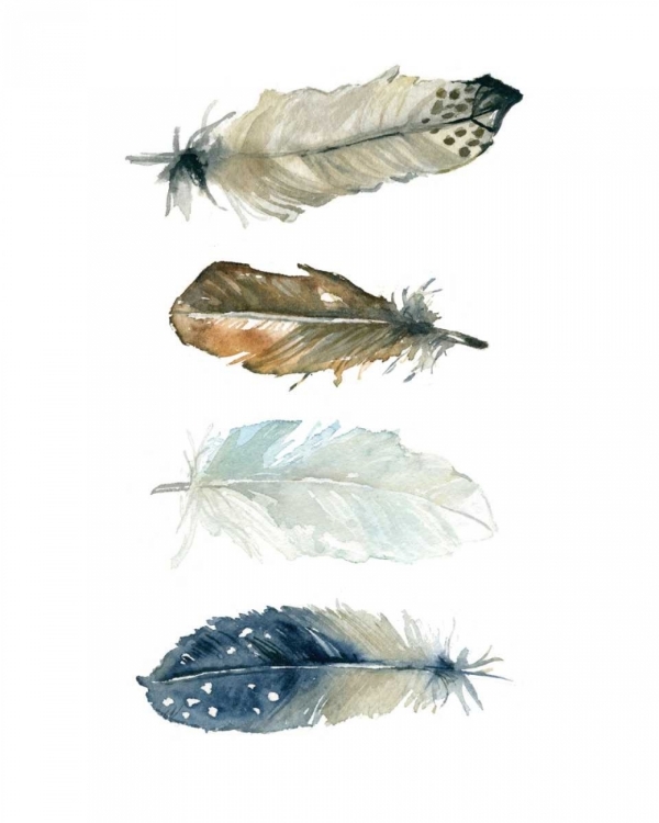 Picture of FEATHER COLLECTION