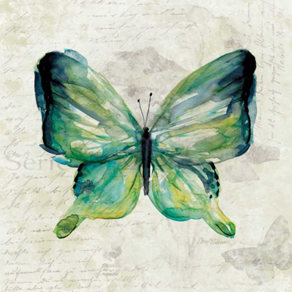 Picture of BUTTERFLY SKETCH